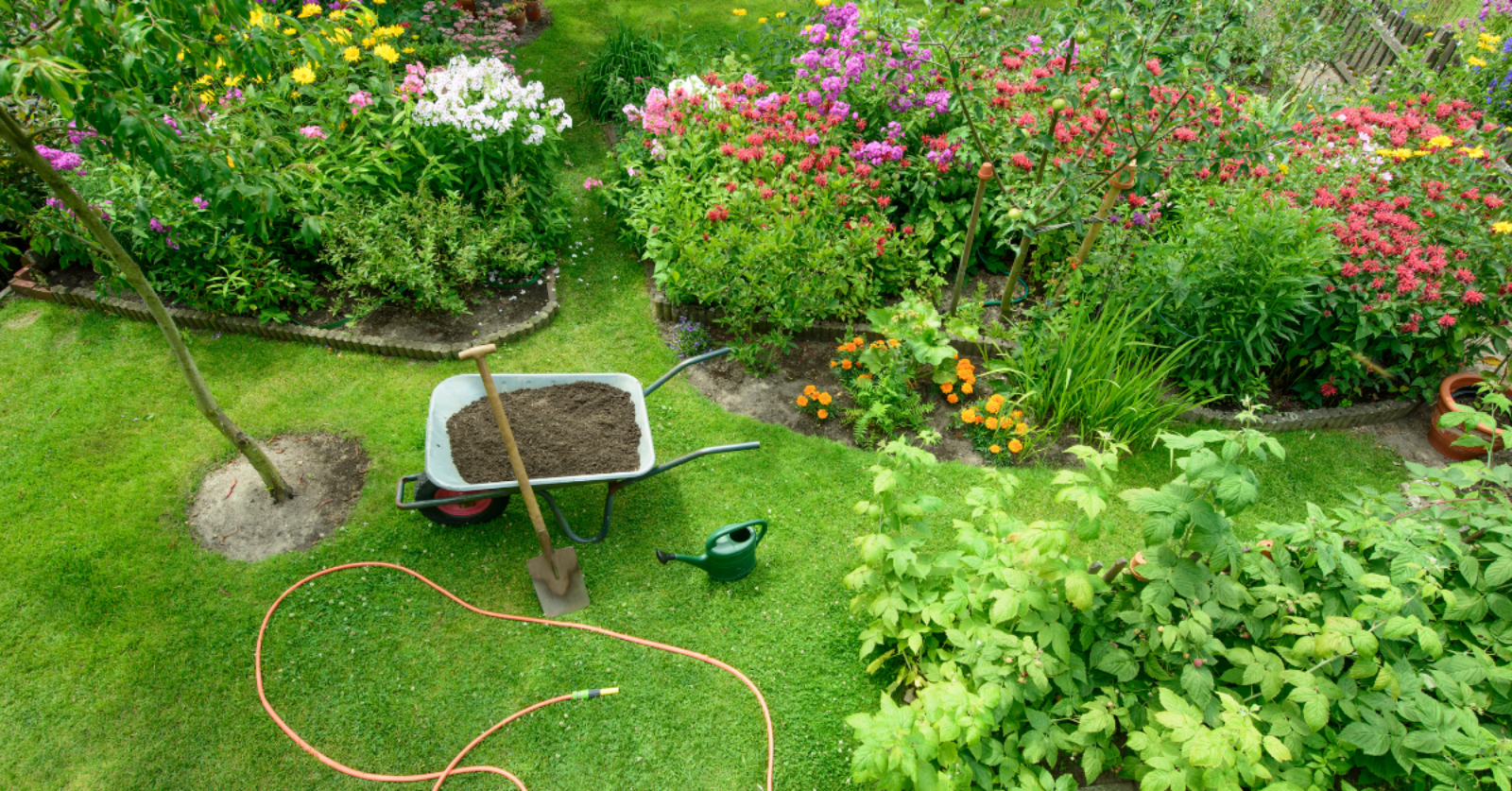 WEB Blog afbeeldingen 1