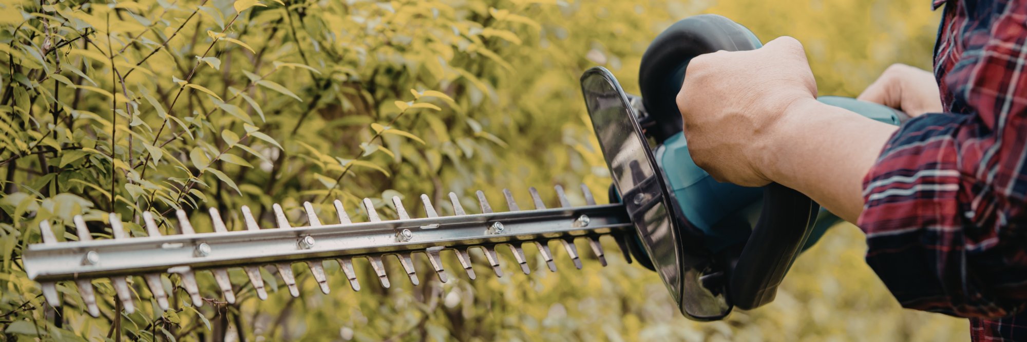 WEB Blog afbeeldingen 2026 9