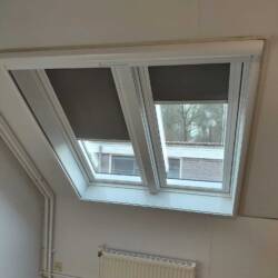 Whats App Image 2026 03 17 at 10 27 33