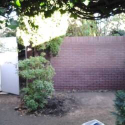 Beter timmerwerken gallerij 3