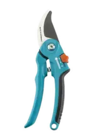 Tuin winterklaar maken 7 klusjes ter voorbereiding op de koude maanden bijgevoegd 5