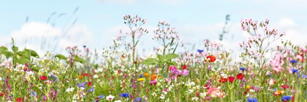 WEB Blog afbeeldingen 2026 10