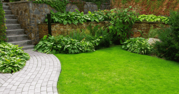 De beste tips voor een onderhoudsvriendelijke tuin featured