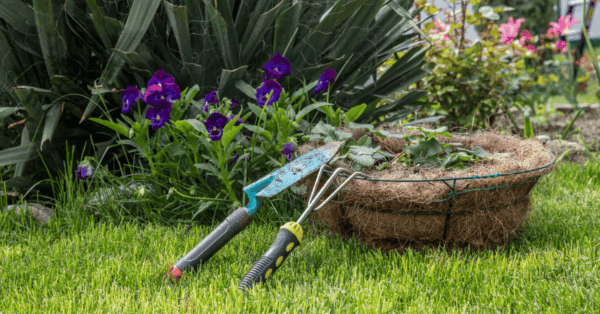 Maak je tuin zomerklaar in 5 stappen featured