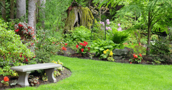 Tuinonderhoud de tuin zomerklaar maken featured