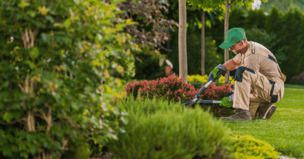 Tuinonderhoud in de zomer waar moet u zeker om denken featured