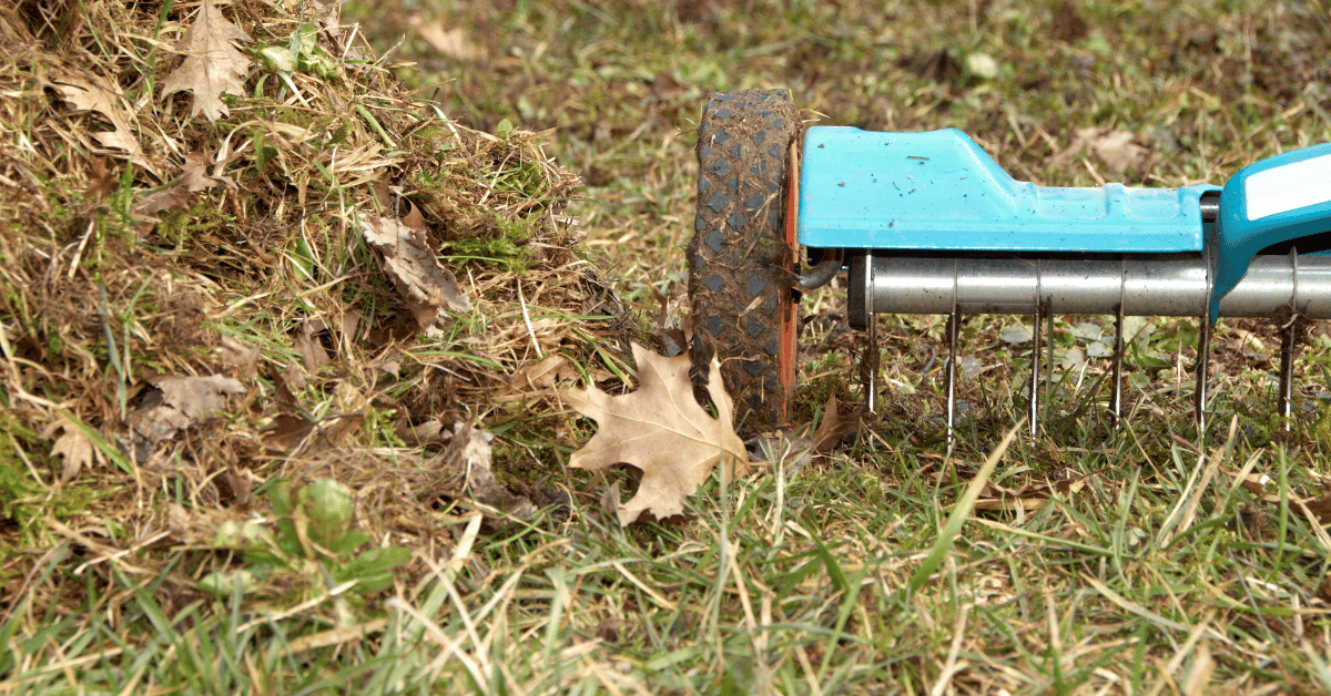 Tuin winterklaar maken